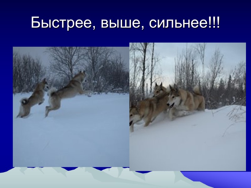 Быстрее, выше, сильнее!!!